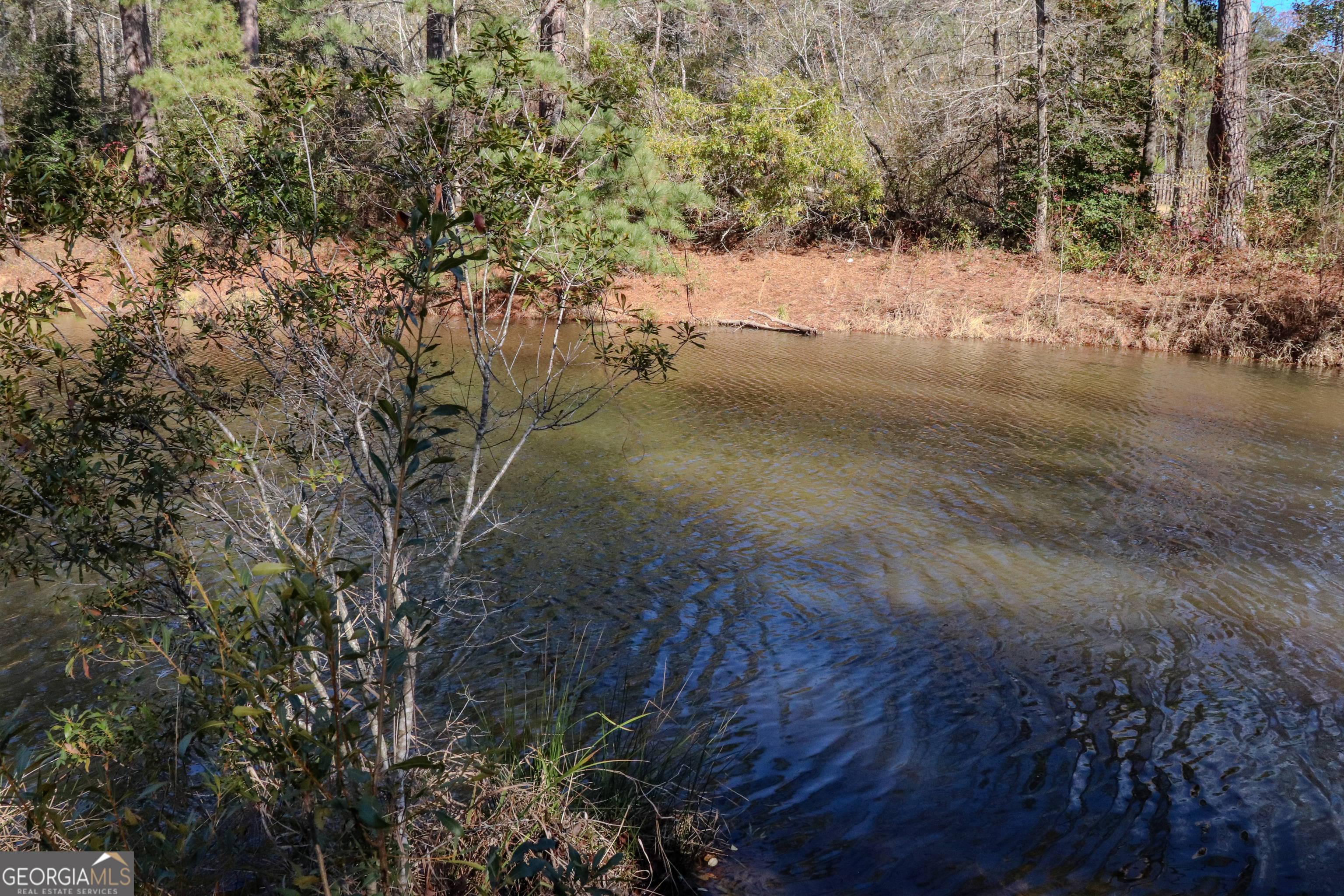 0 Hamilton Road Grovetown, GA 30813 - Photo 7 of 16 a view of a yard with a tree