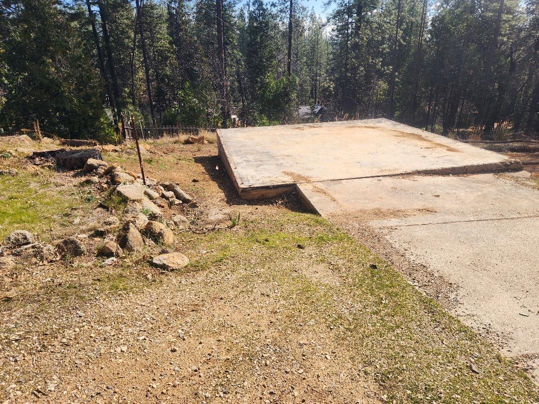 1914 Lily Gap Road West Point, CA 95255 - Photo 1 of 1 a view of a yard with trees