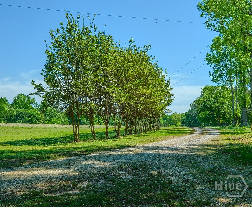 838 Buford Carey Road Hull, GA 30646 - Photo 41 of 42