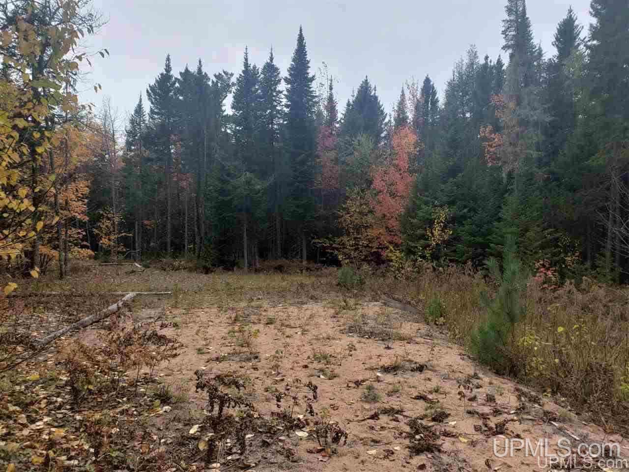 Tbd Gay Lac La Belle Road Lake Linden, MI 49950 - Photo 6 of 9