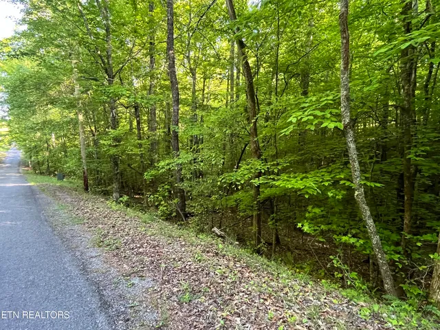 $5,000 | 373-375 Beta Drive, Spring City, TN 37381