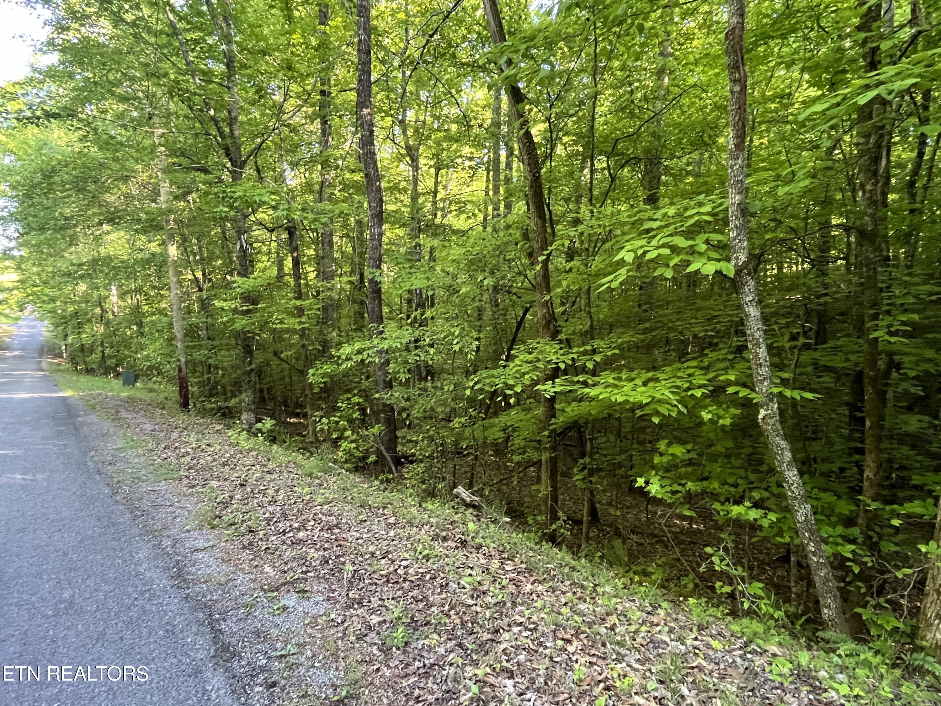 373-375 Beta Drive Spring City, TN 37381 - Photo 1 of 3 IMG_8266