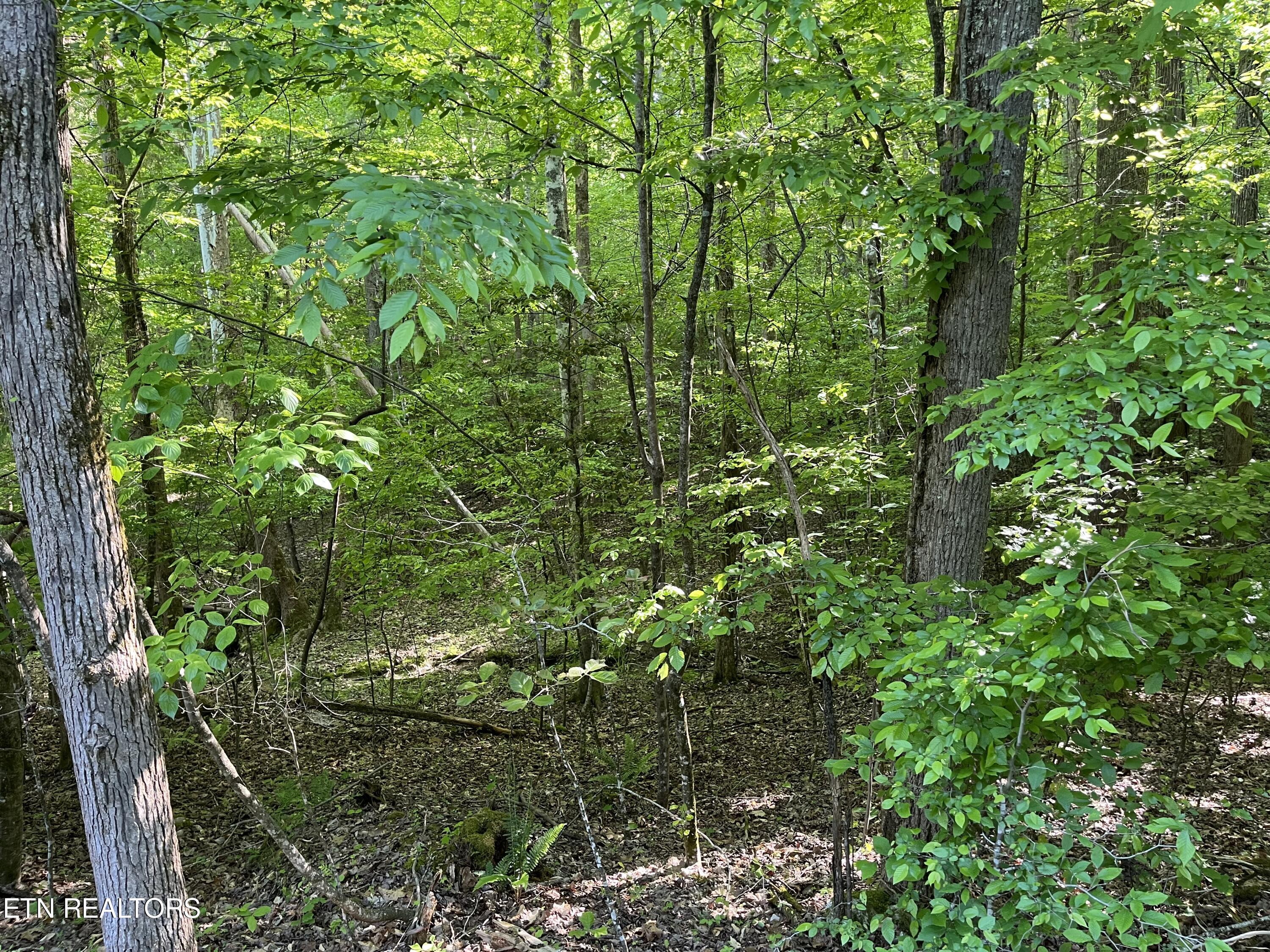 373-375 Beta Drive Spring City, TN 37381 - Photo 2 of 3 IMG_8267