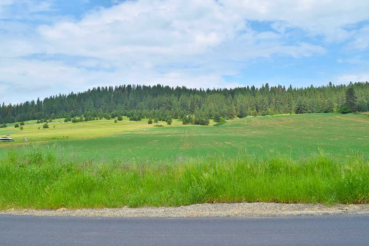 Lot G Big Meadows Road Chattaroy, WA 99003 - Photo 16 of 20 Gallery Image 16