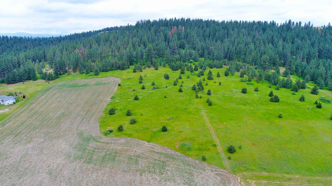 Lot G Big Meadows Road Chattaroy, WA 99003 - Photo 4 of 20 Gallery Image 4