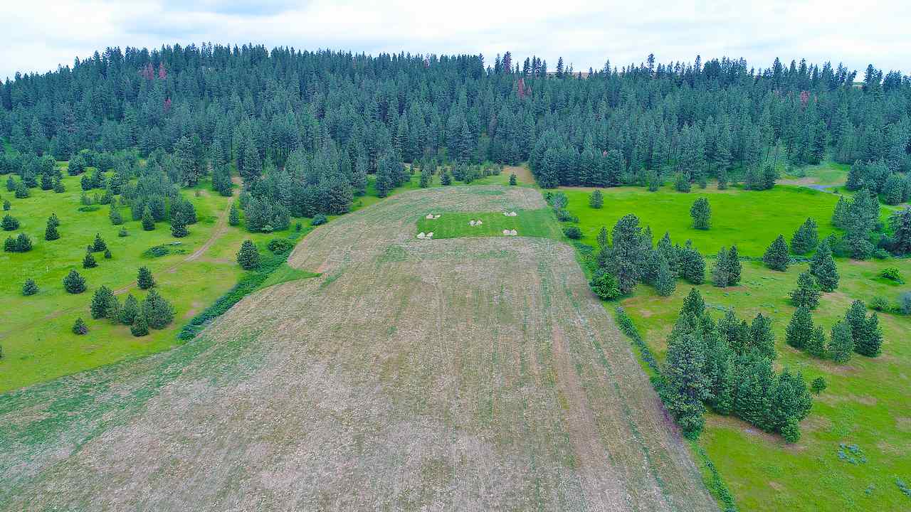 Lot G Big Meadows Road Chattaroy, WA 99003 - Photo 5 of 20 Gallery Image 5
