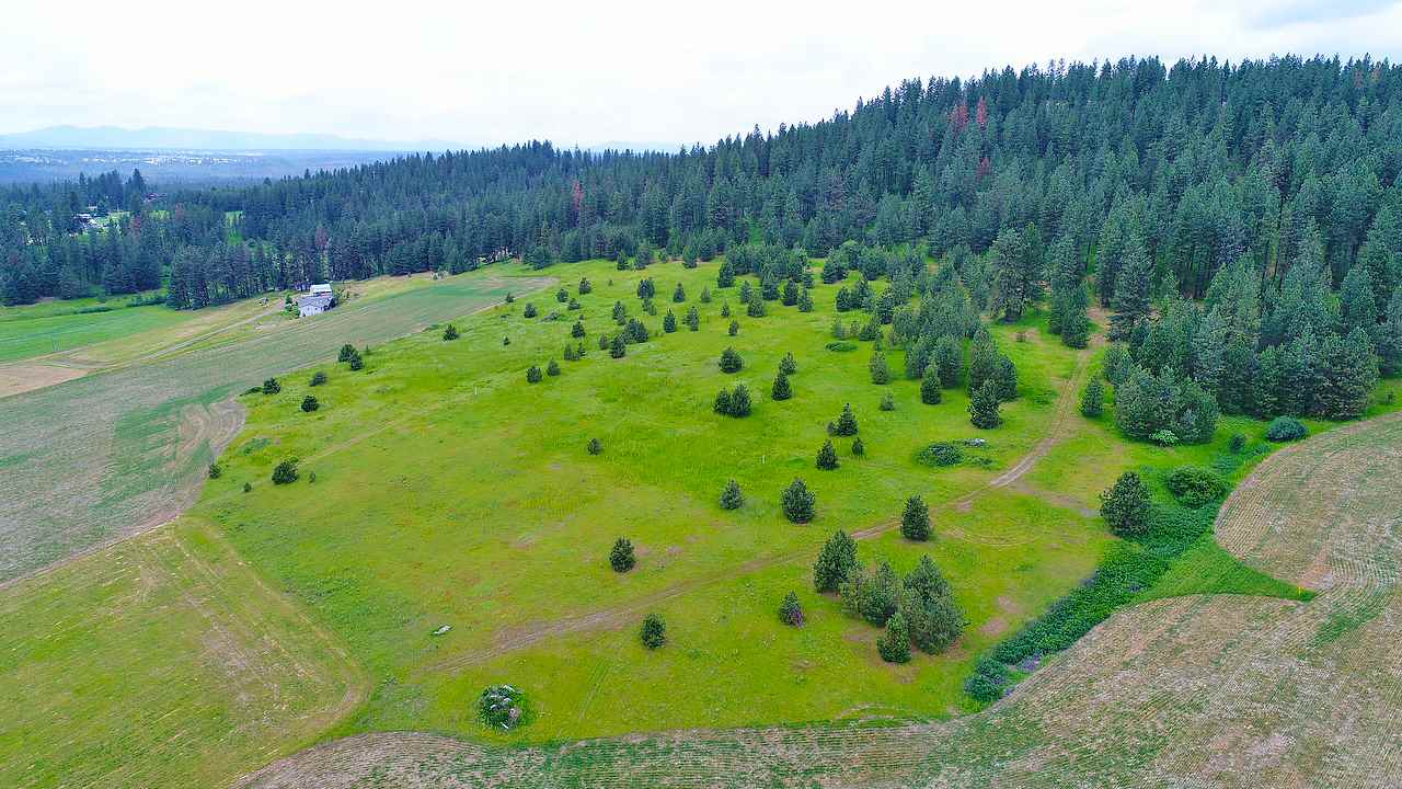 Lot G Big Meadows Road Chattaroy, WA 99003 - Photo 6 of 20 Gallery Image 6