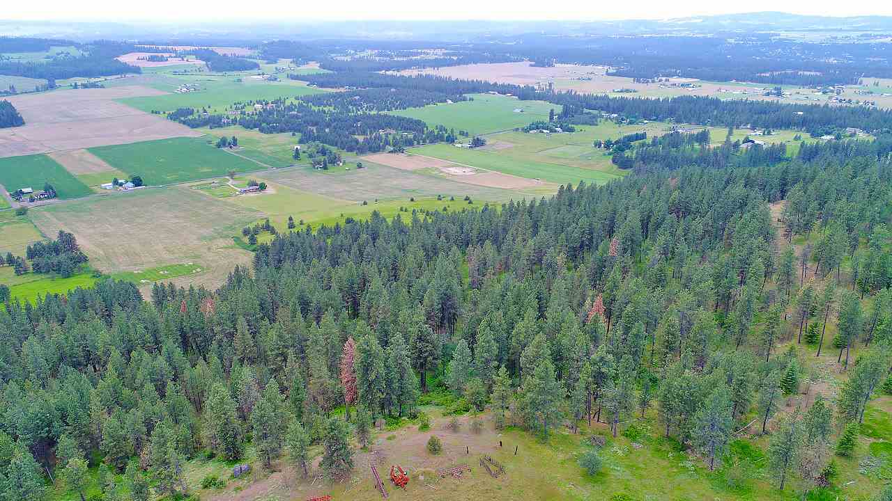 Lot G Big Meadows Road Chattaroy, WA 99003 - Photo 7 of 20 Gallery Image 7