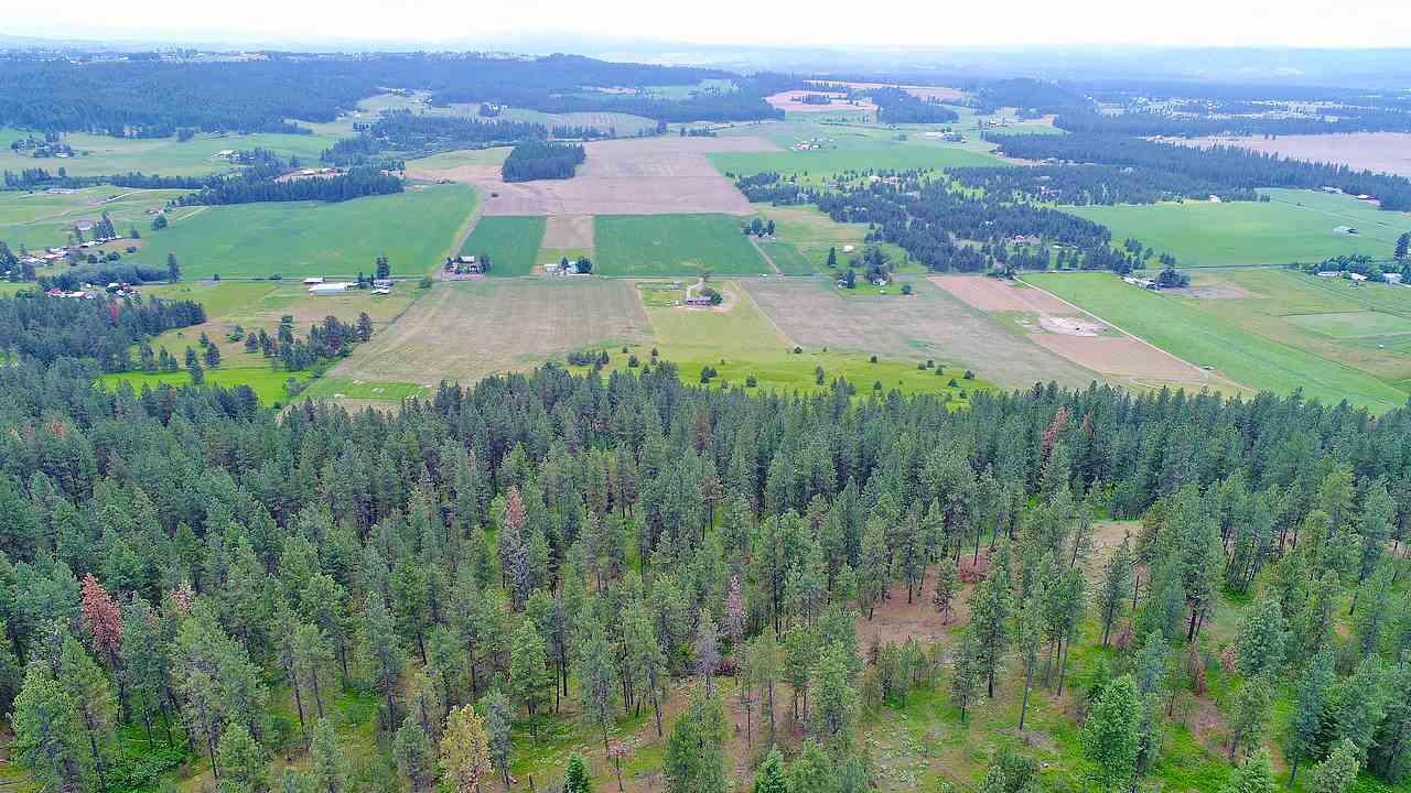 Lot G Big Meadows Road Chattaroy, WA 99003 - Photo 8 of 20 Gallery Image 8