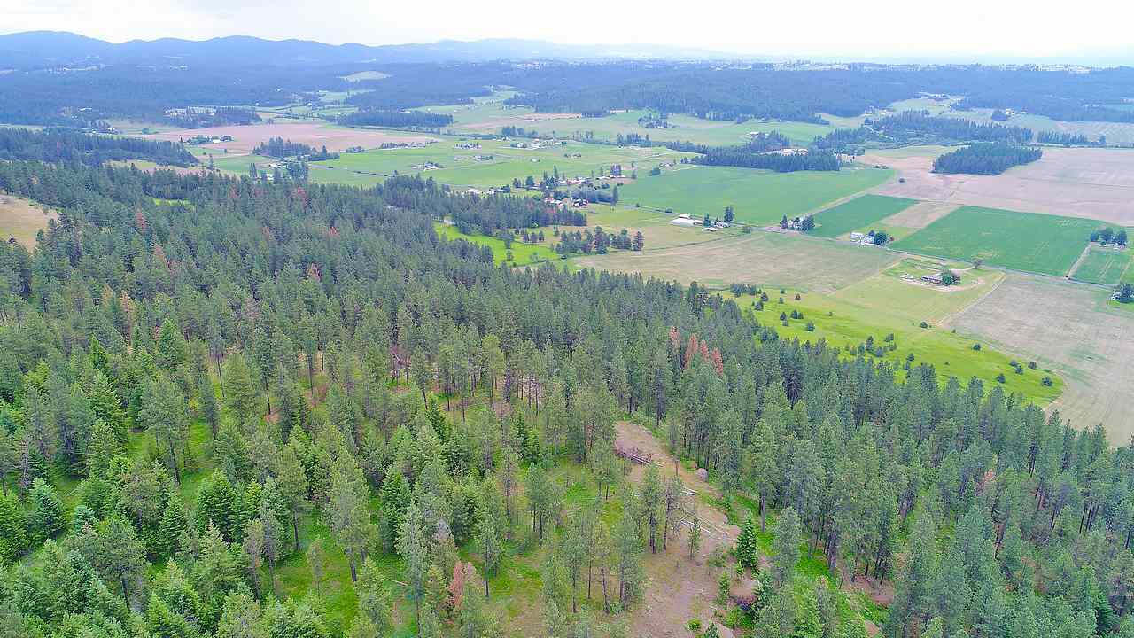 Lot G Big Meadows Road Chattaroy, WA 99003 - Photo 9 of 20 Gallery Image 9