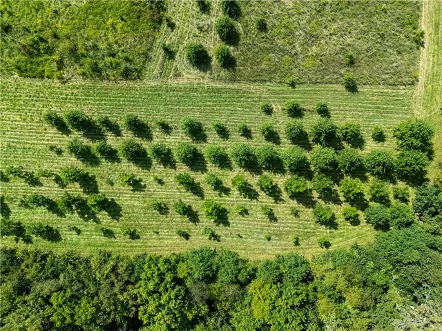 $399,000 | Clark Rd Road, Marceline, MO 64658