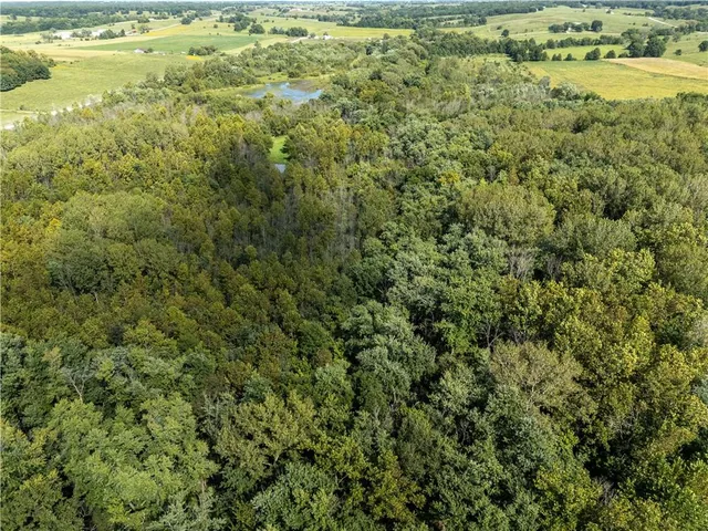 $399,000 | Clark Rd Road, Marceline, MO 64658