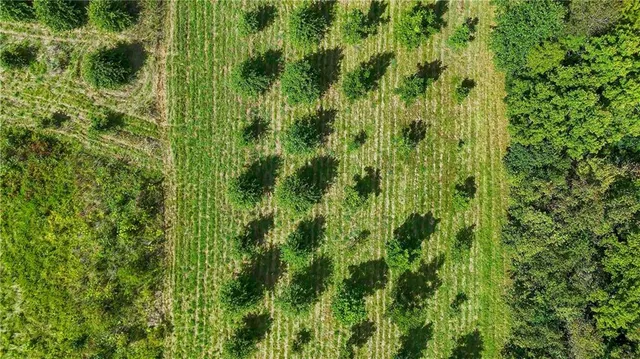 $399,000 | Clark Rd Road, Marceline, MO 64658