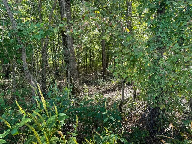 $399,000 | Clark Rd Road, Marceline, MO 64658