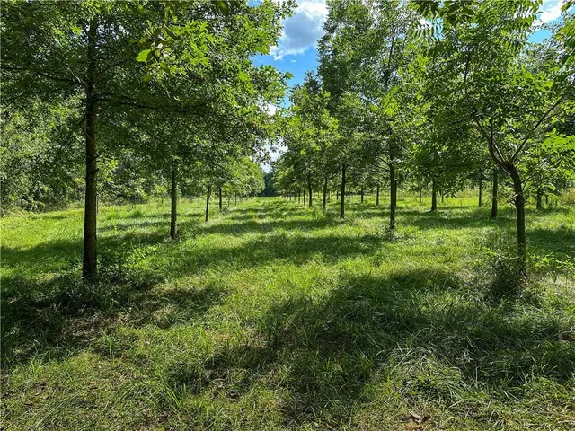 $399,000 | Clark Rd Road, Marceline, MO 64658