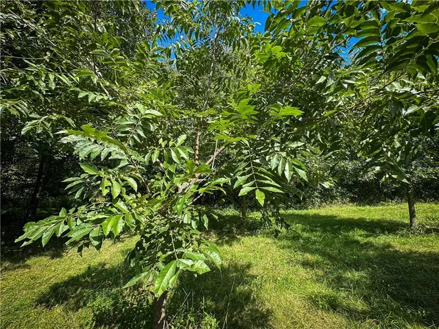 $399,000 | Clark Rd Road, Marceline, MO 64658