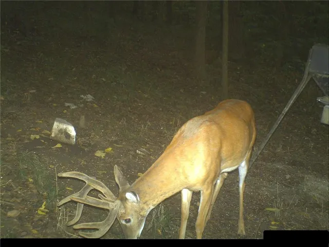 $399,000 | Clark Rd Road, Marceline, MO 64658