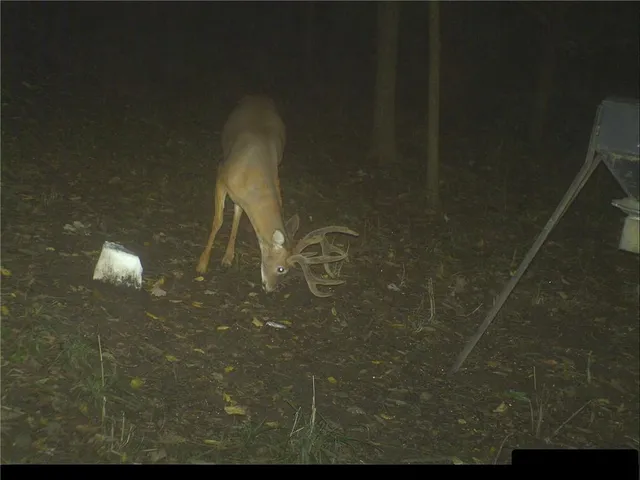 $399,000 | Clark Rd Road, Marceline, MO 64658