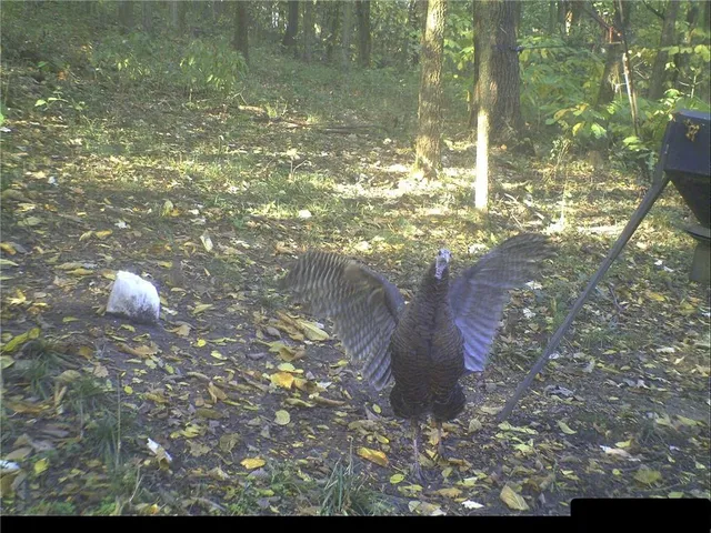 $399,000 | Clark Rd Road, Marceline, MO 64658