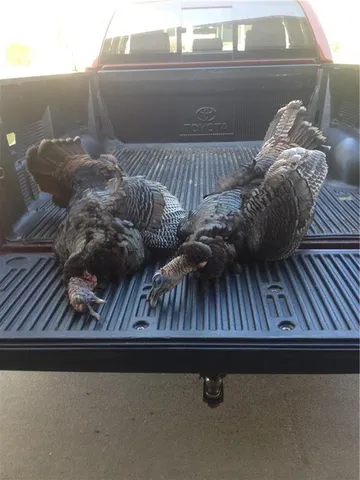 $399,000 | Clark Rd Road, Marceline, MO 64658