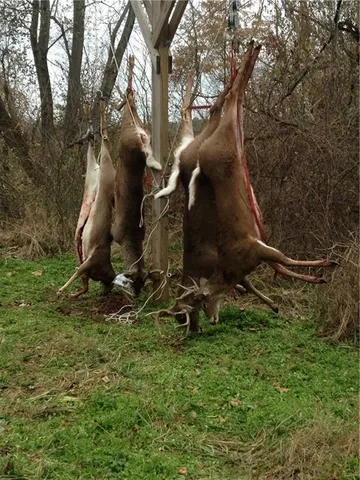 $399,000 | Clark Rd Road, Marceline, MO 64658