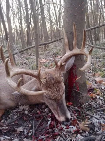 $399,000 | Clark Rd Road, Marceline, MO 64658