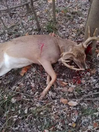 $399,000 | Clark Rd Road, Marceline, MO 64658