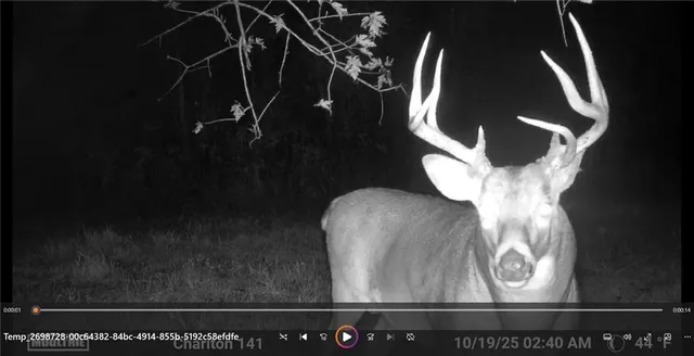 $399,000 | Clark Rd Road, Marceline, MO 64658