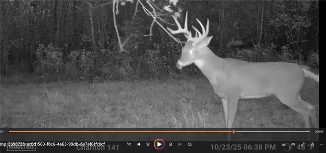 $399,000 | Clark Rd Road, Marceline, MO 64658