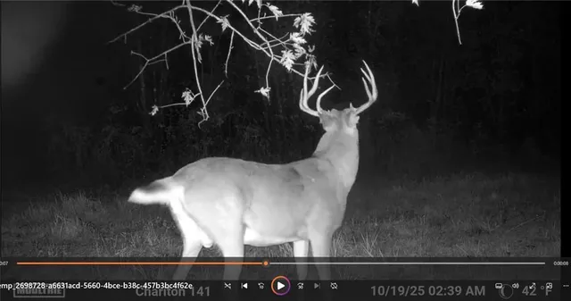 $399,000 | Clark Rd Road, Marceline, MO 64658