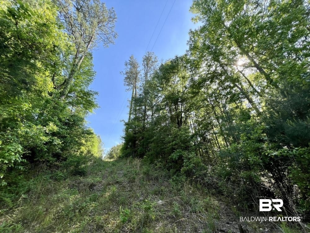 0 Fluker Kiel Road Coffeeville, AL 36524 - Photo 18 of 34