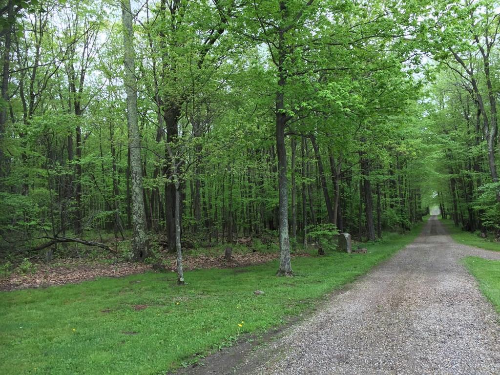 1022 Stiles Road Homer City, PA 15748 - Photo 22 of 25 Private drive