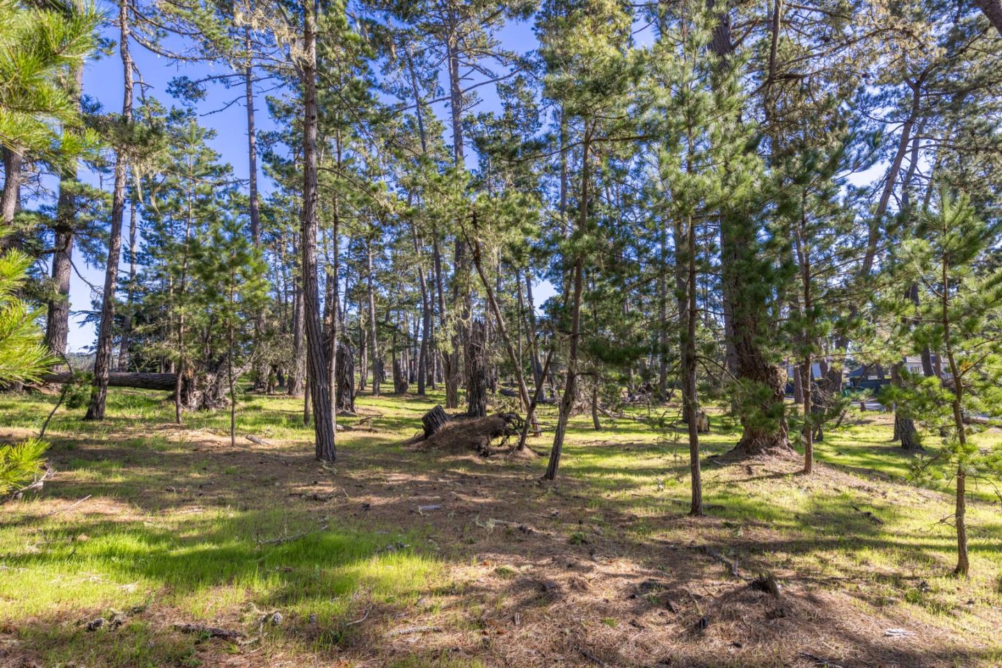 1407 Viscaino Road Pebble Beach, CA 93953 - Photo 8 of 11 Gallery Image 8