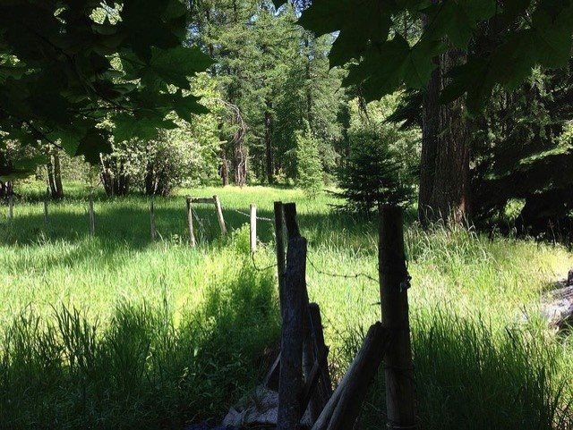 111 Orrs Corner Road Elk, WA 99009 - Photo 2 of 14