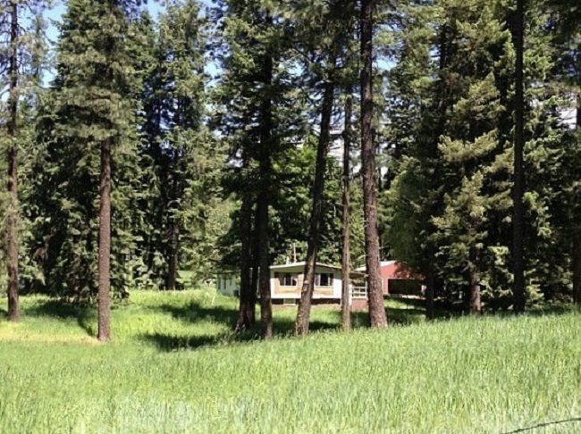 111 Orrs Corner Road Elk, WA 99009 - Photo 3 of 14