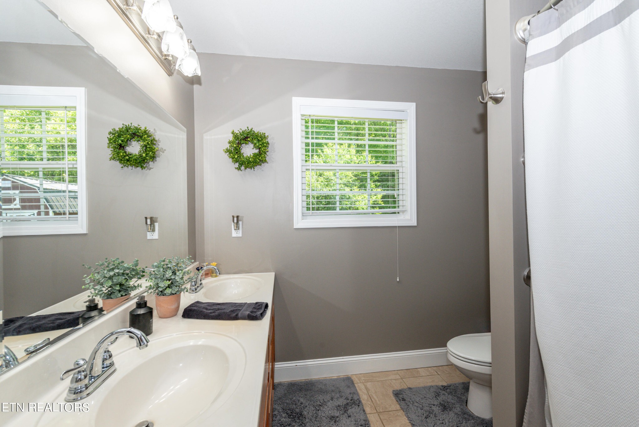1303 Houston Springs Road Greenback, TN 37742 - Photo 20 of 31 a bathroom with a sink toilet and window