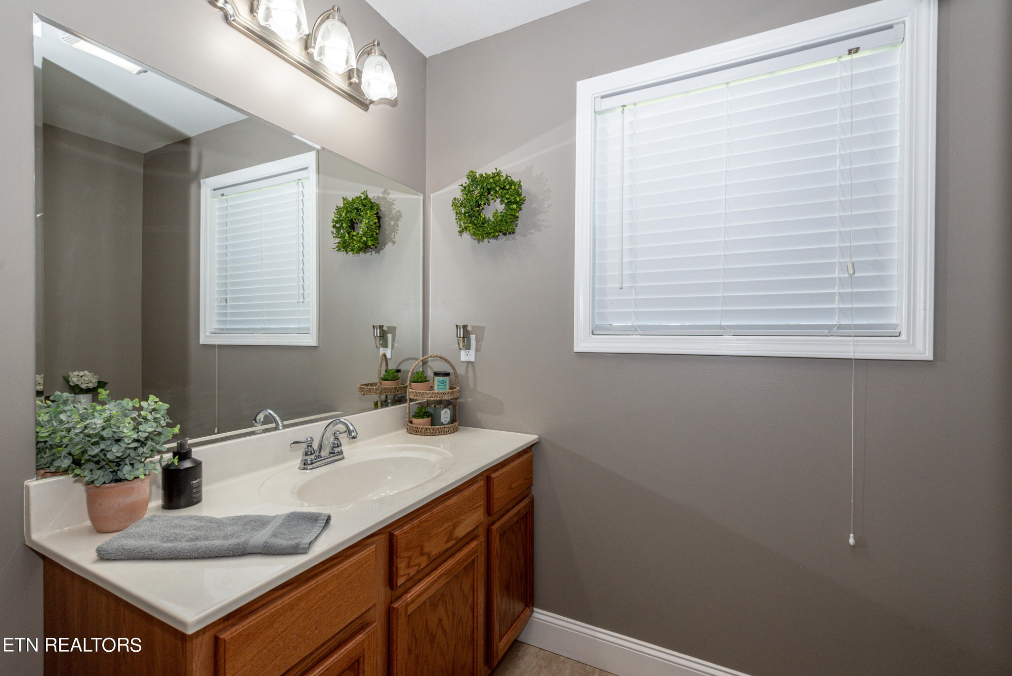 1303 Houston Springs Road Greenback, TN 37742 - Photo 24 of 31 a bathroom with a sink and a mirror