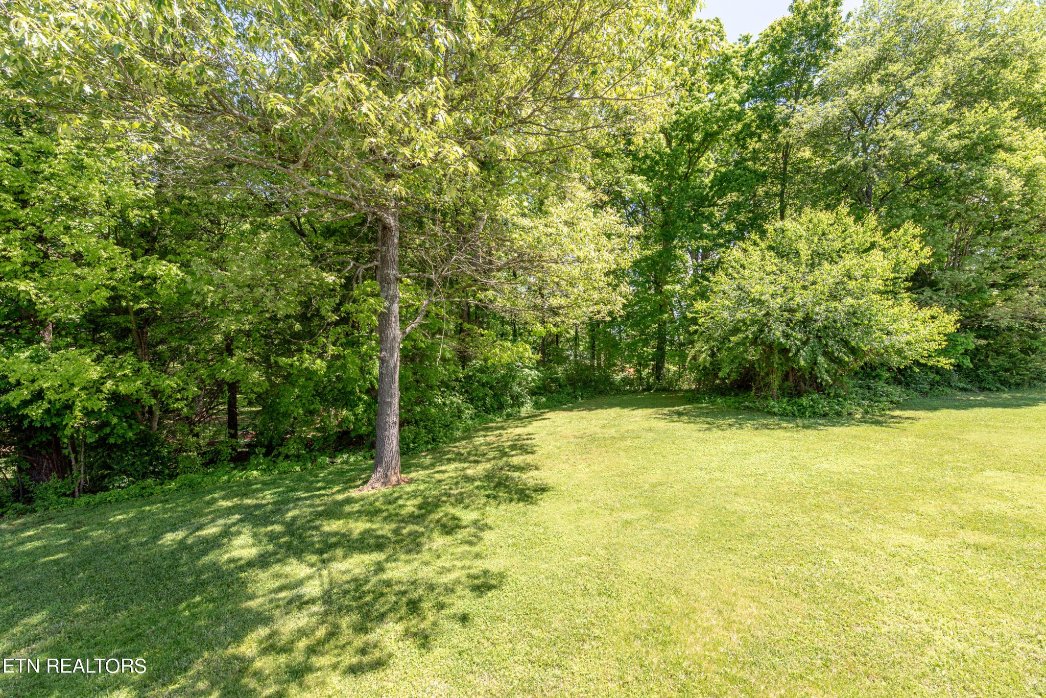 1303 Houston Springs Road Greenback, TN 37742 - Photo 31 of 31 a view of a yard with a tree