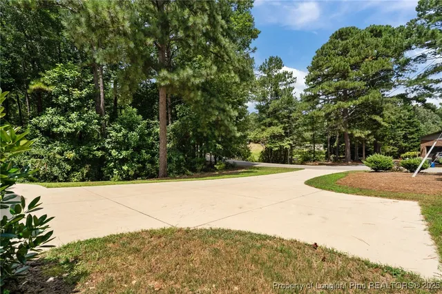 a view of yard with large trees