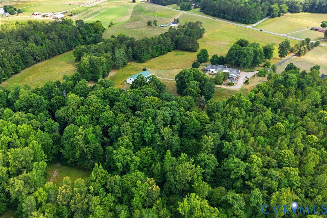 13300 West Patrick Henry Road Doswell, VA 23047 - Photo 64 of 69 Expansive wooded acreage featuring mature trees an