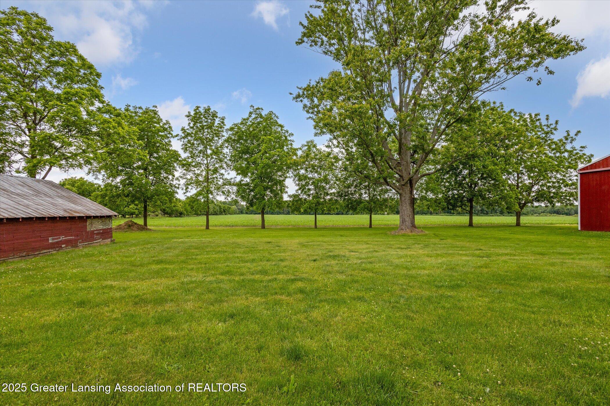 16544 South Chapin Road Elsie, MI 48831 - Photo 47 of 53 35-16544-S-Chapin-Rd-Elsie-MI-48831-Wind