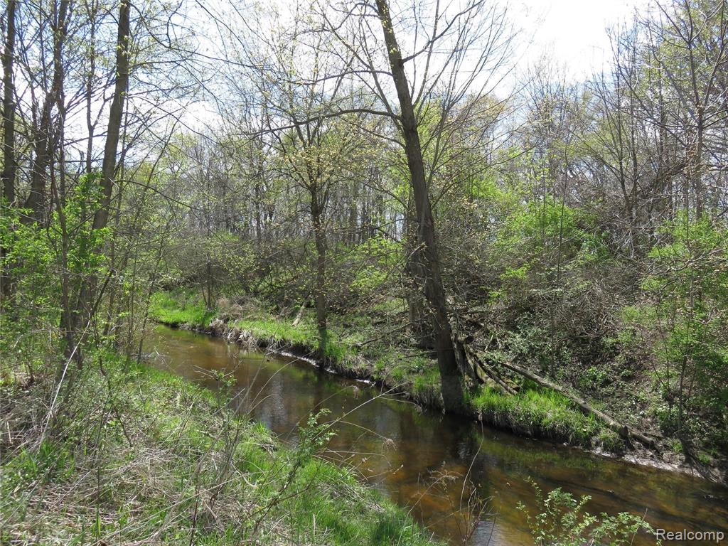 0 South Elliott Road Fowlerville, MI 48836 - Photo 13 of 22