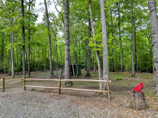 478 Flat Top Road Young Harris, GA 30582 - Photo 21 of 75