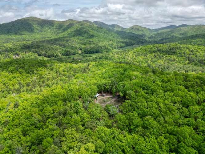 478 Flat Top Road Young Harris, GA 30582 - Photo 30 of 75 a view of a lush green forest with lush green forest