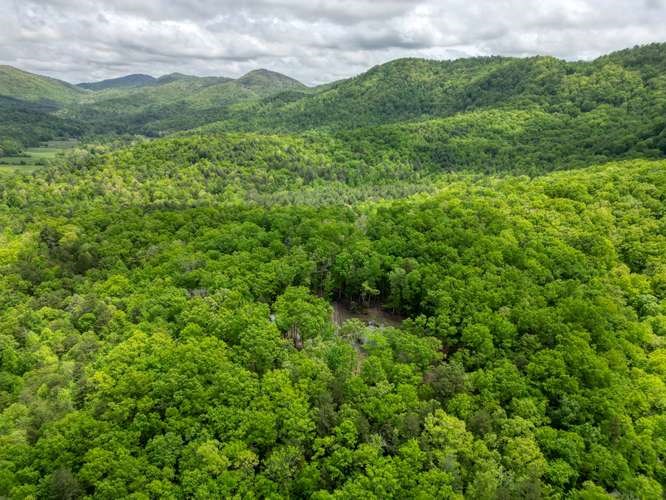 478 Flat Top Road Young Harris, GA 30582 - Photo 31 of 75 a view of a lush green forest with lots of trees
