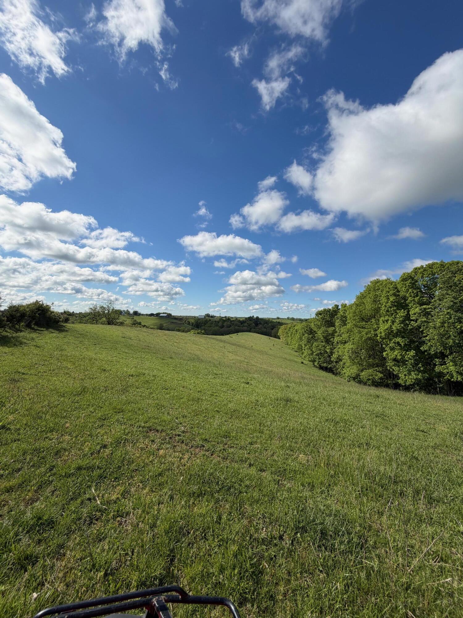 14.17-ac Chipman Ridge Road Williamstown, KY 41097 - Photo 4 of 18