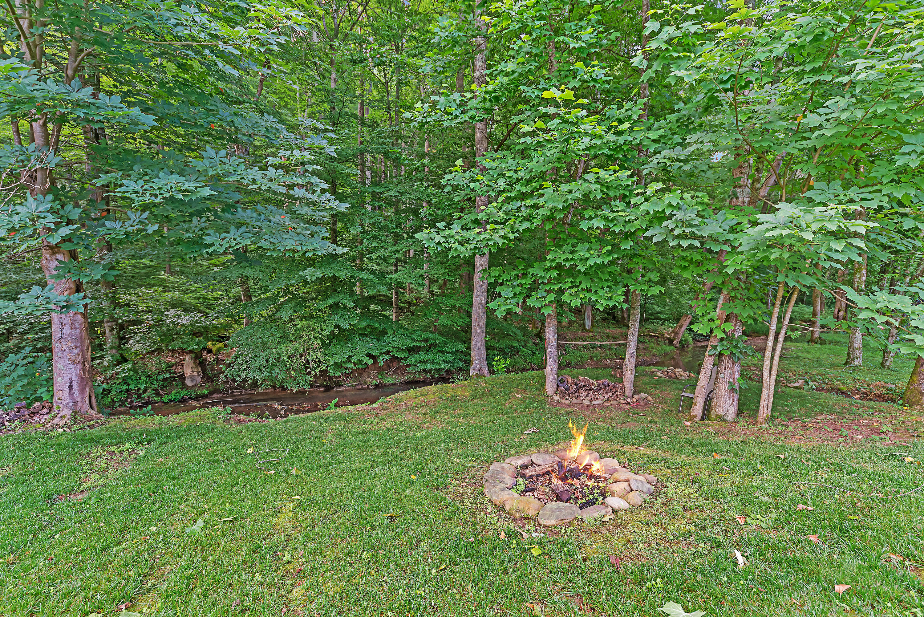 11638 Edison Road Knoxville, TN 37932 - Photo 25 of 26 Backyard 2