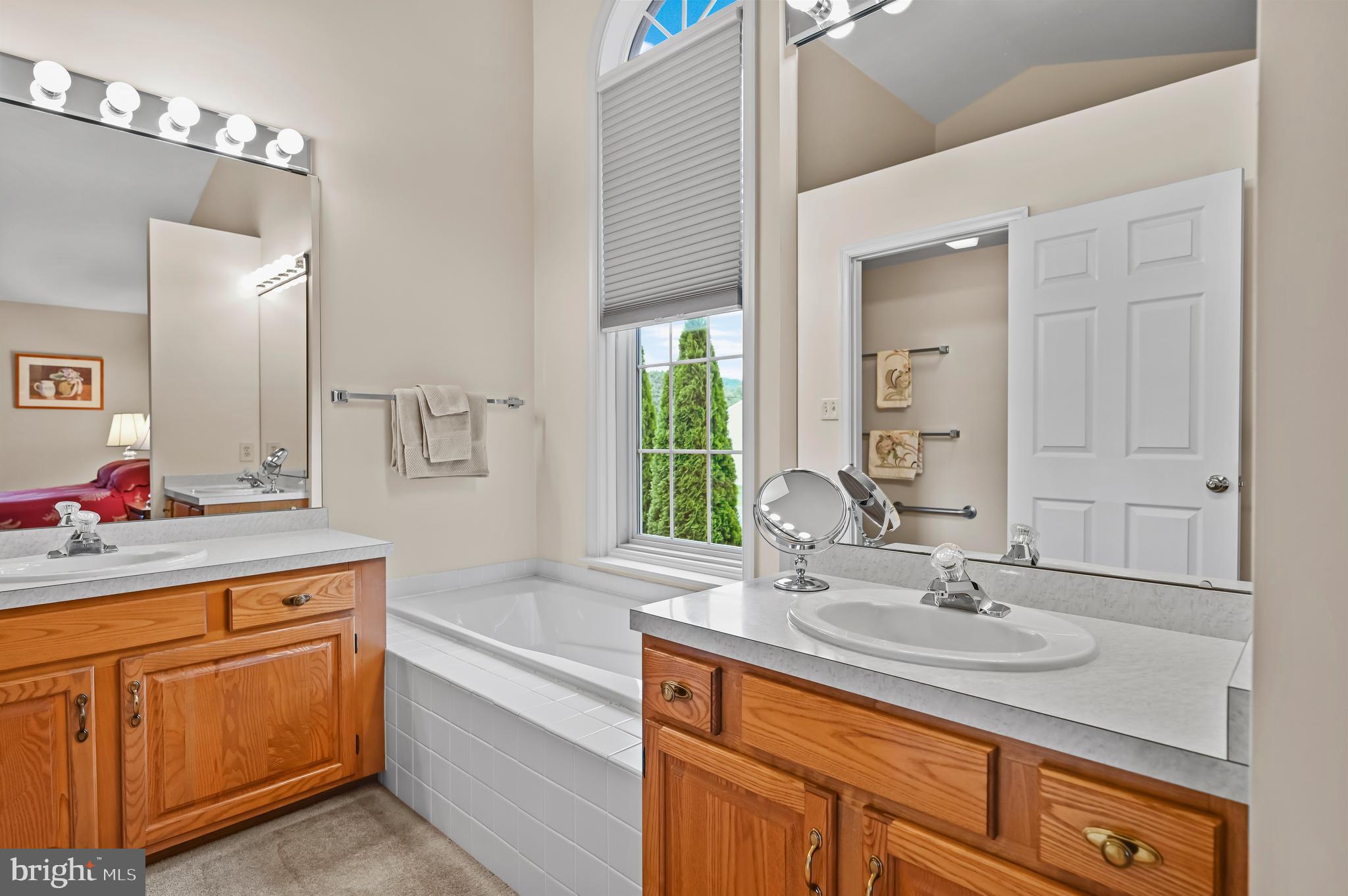 127 Derby Drive Elverson, PA 19520 - Photo 19 of 28 Soaking tub and split vanities