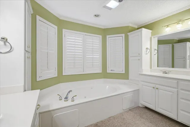 a view of a yard with a large tree