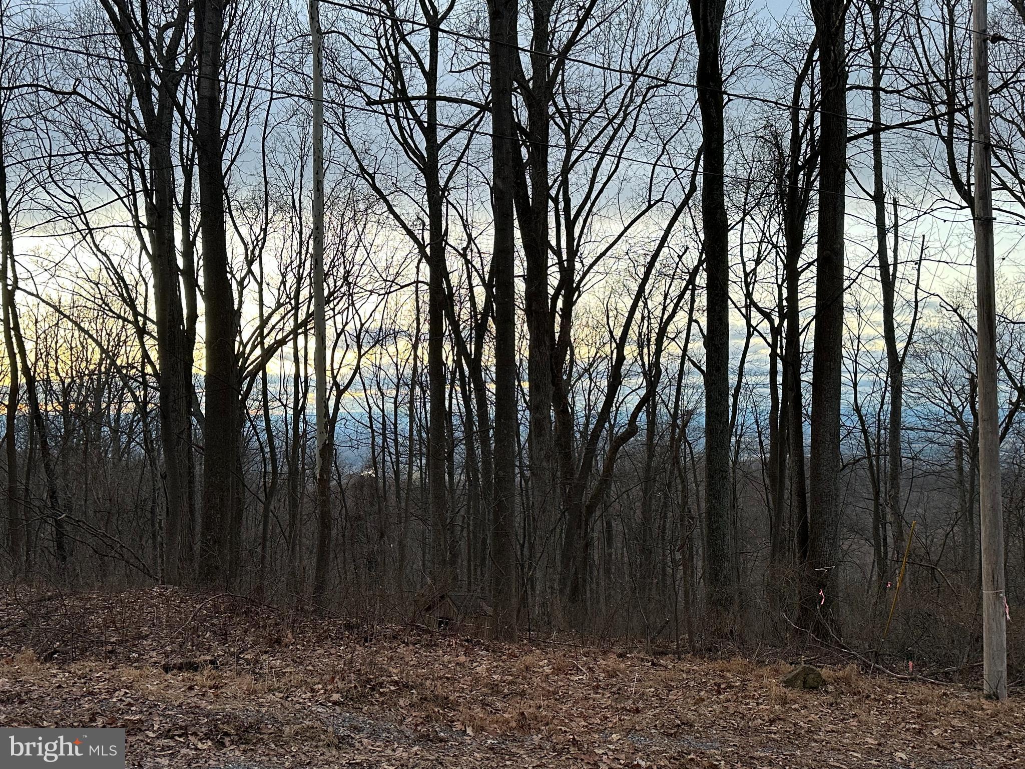 1631 High Top Road Linden, VA 22642 - Photo 3 of 84 Great views!
